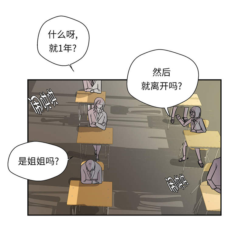 奇妙的动物家庭漫画,第39章：未来职业2图