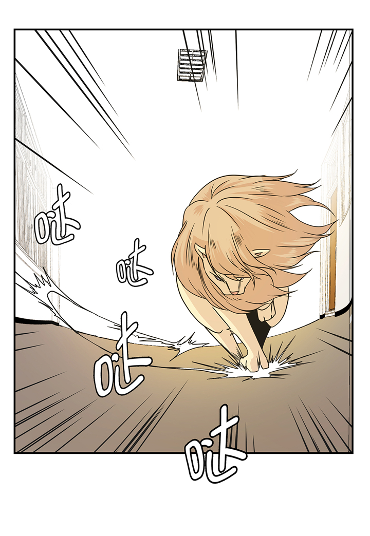 奇妙的动物高中漫画,第80章：激烈的战斗5图