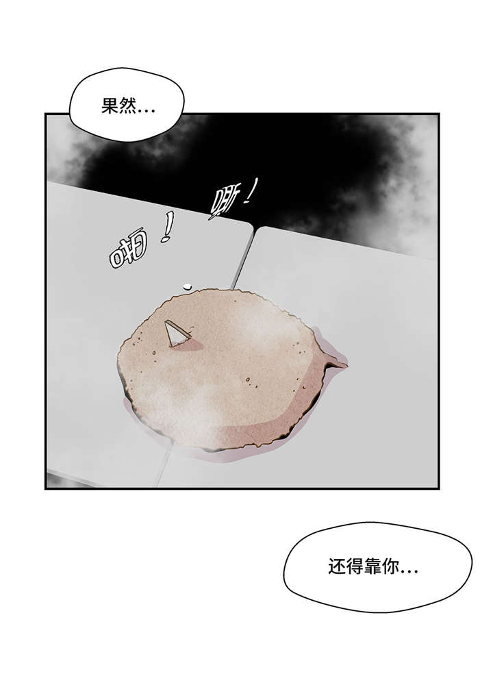 奇妙的动物世界作文600字漫画,第10章：看不见的动物(上)1图