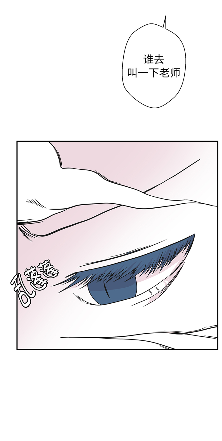 奇妙的动物世界作文600字漫画,第81章：会场袭击1图