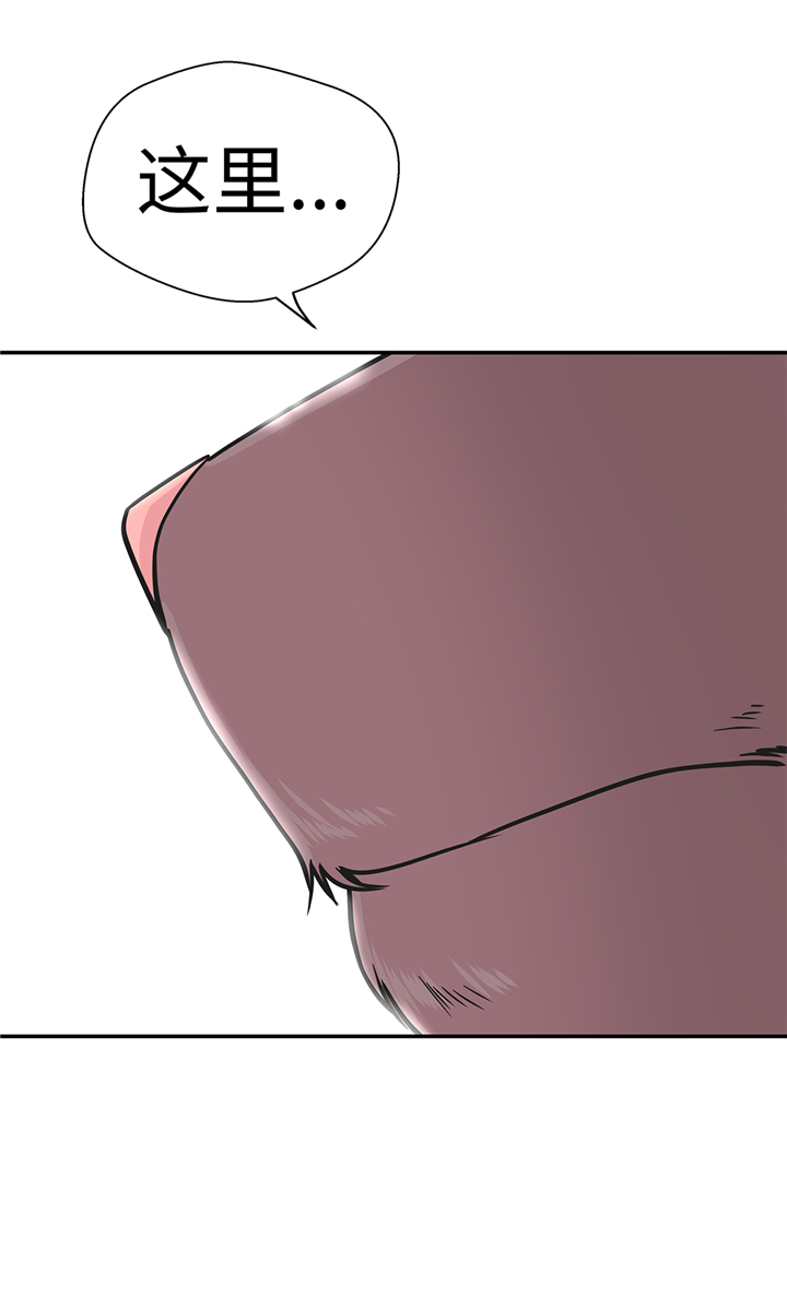 奇妙的动物世界作文600字漫画,第81章：会场袭击5图