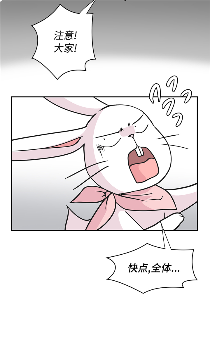 奇妙的动物世界作文600字漫画,第81章：会场袭击2图