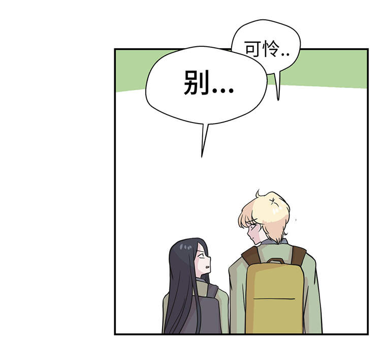 奇妙的动物家庭漫画,第37章：完美的靶子2图