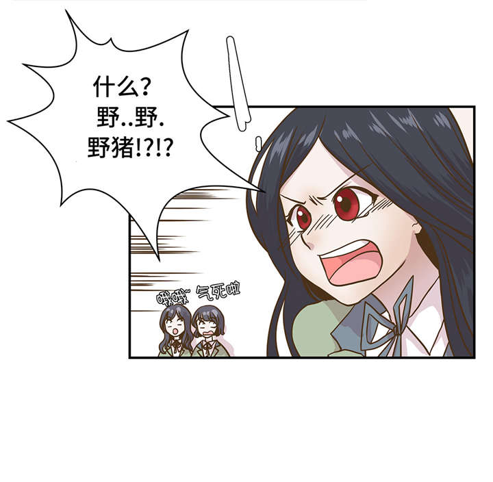 第8章：展示能力吧(上)3