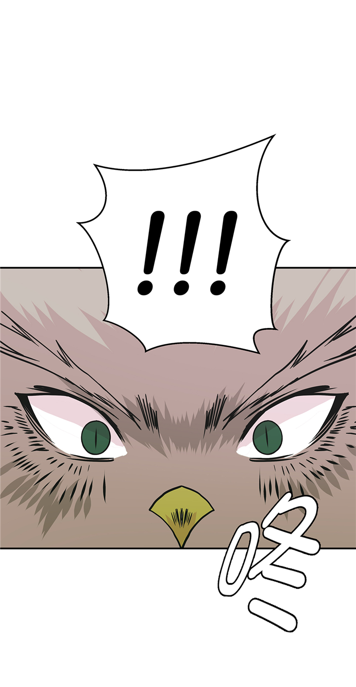 奇妙的动物世界100个字漫画,第81章：会场袭击3图