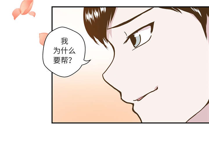 奇妙的动物家庭漫画,第17章：守护如意5图