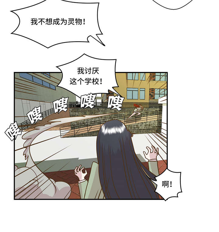 奇妙的动物世界电影漫画,第2章：偶遇（上）3图