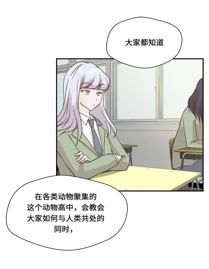 奇妙的动物高中漫画,第8章：展示能力吧(上)2图