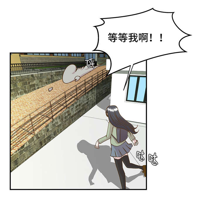 奇妙的动物世界电影漫画,第2章：偶遇（上）5图