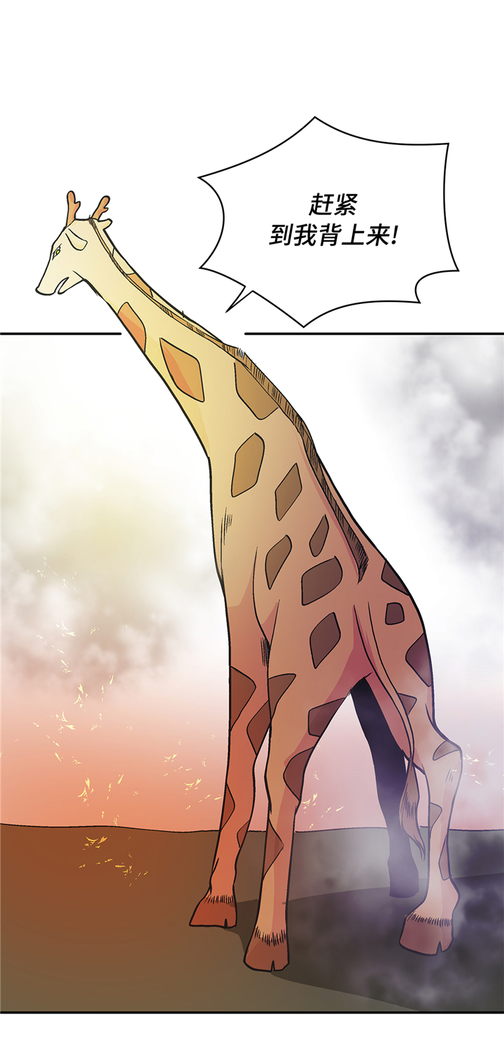 奇妙的动物松鼠漫画,第90章：你这只笨狗！3图