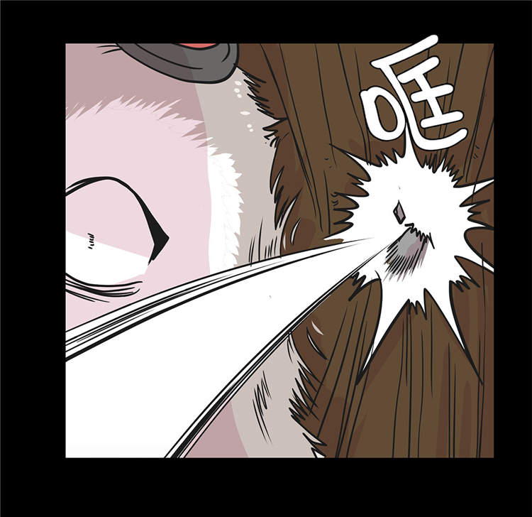 奇妙的动物高中漫画,第39章：未来职业3图