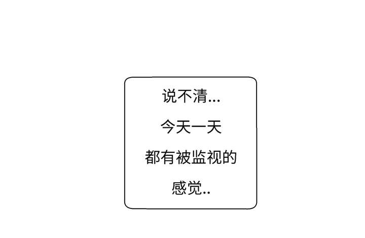 第21章：有人跟踪0