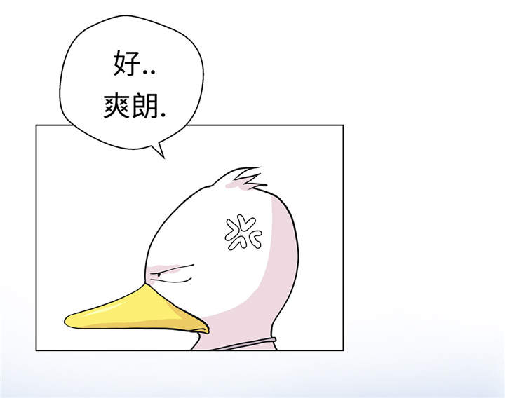 奇妙的动物家庭漫画,第28章：他没有发现4图