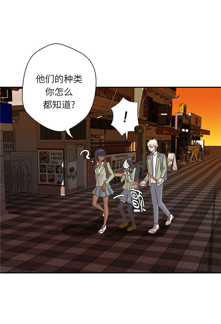 奇妙的动物家庭漫画,第16章：狮子莱昂1图