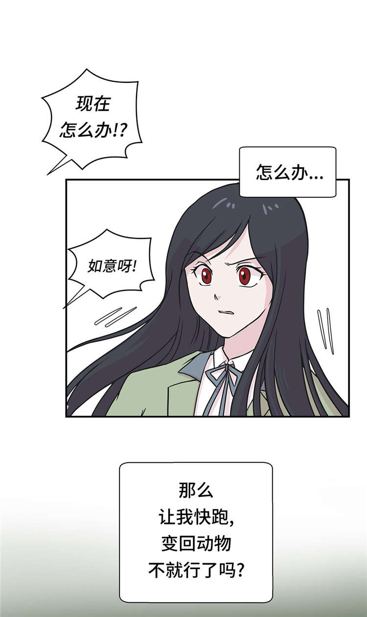 奇妙的动物高中漫画,第43章：都是因为你4图