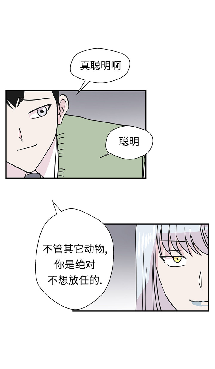小学课外书奇妙的动物漫画,第57章：不放过任何一个机会1图