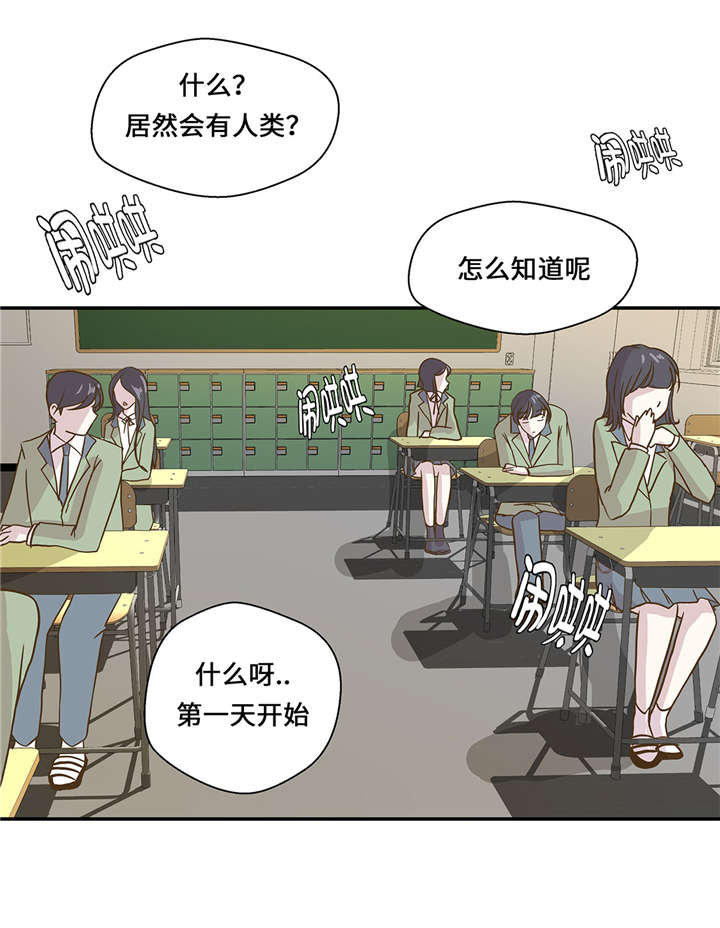 奇妙的动物高中漫画,第8章：展示能力吧(上)5图