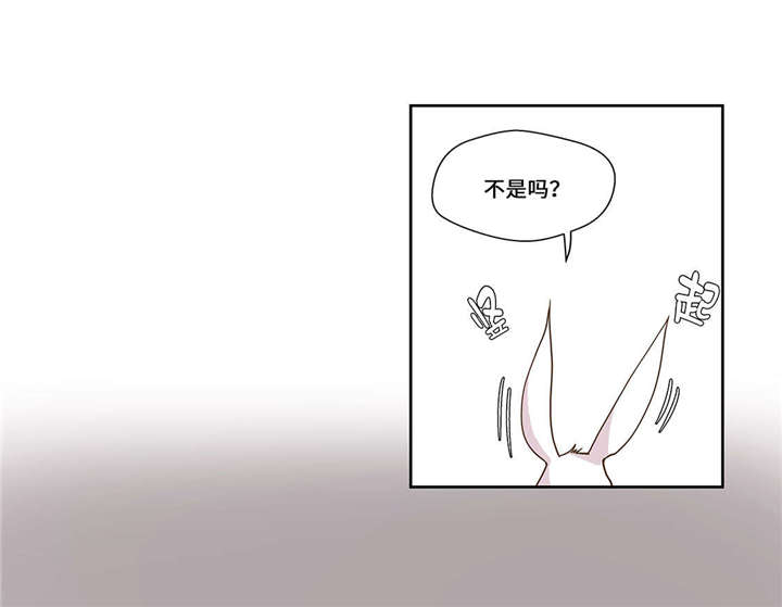 奇妙的动物世界电影漫画,第1章：动物高中4图