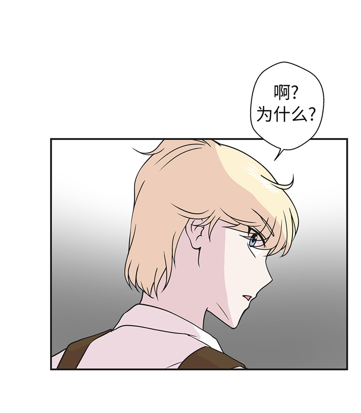 小学课外书奇妙的动物漫画,第71章：明天再来2图