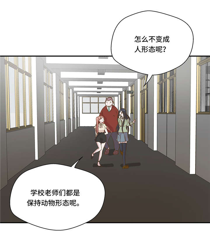 奇妙的动物家庭漫画,第6章： 被龙选中的人(上)2图