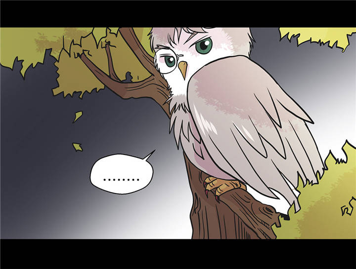 奇妙的动物学校漫画,第38章：不要做伤害人的事2图