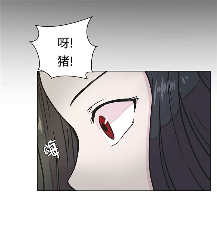奇妙的动物观评课漫画,第24章：奇怪的感觉5图