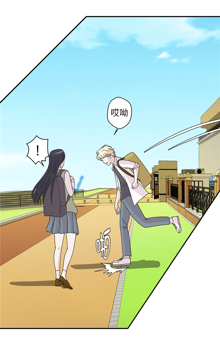 小学课外书奇妙的动物漫画,第77章：庆典前夕4图