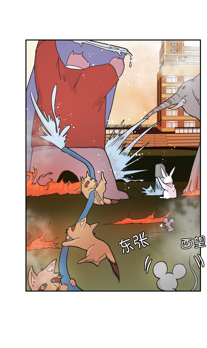 奇妙的动物高中漫画,第92章：你真傻4图