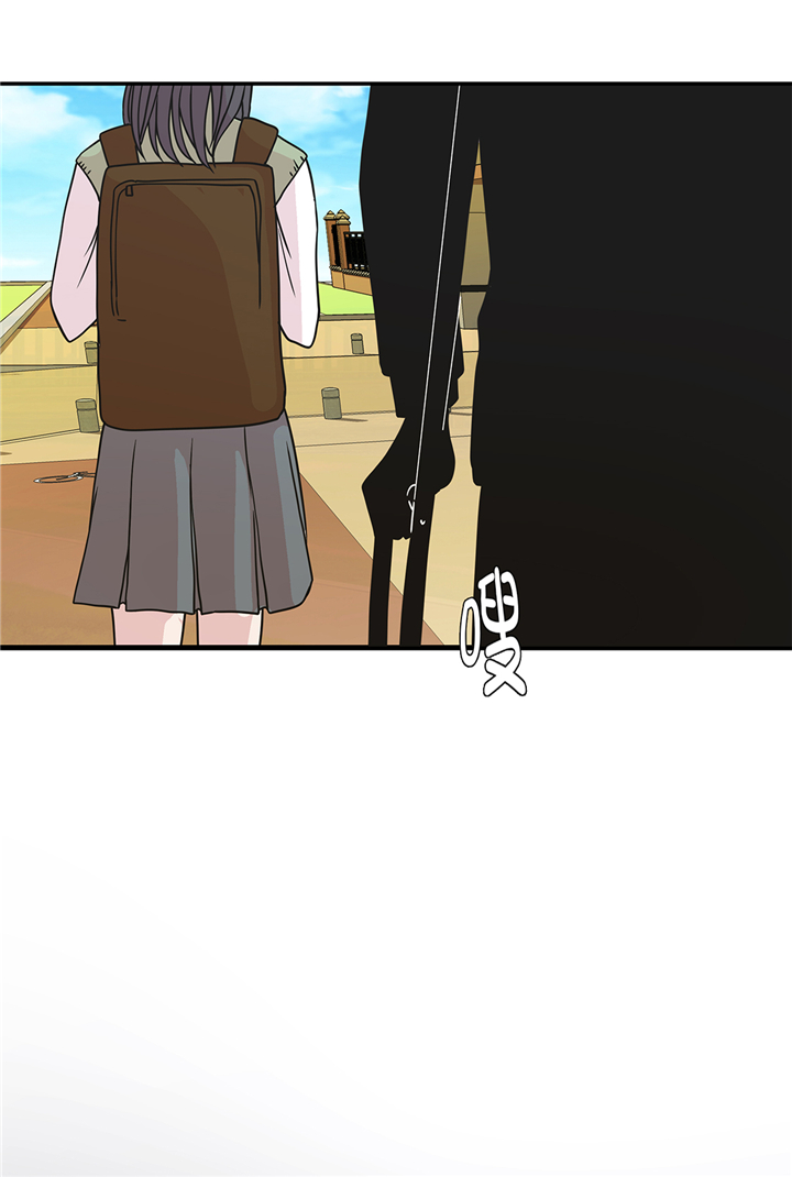 小学课外书奇妙的动物漫画,第77章：庆典前夕5图