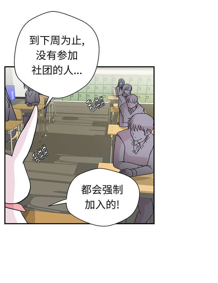 奇妙的动物高中漫画,第51章：科学部4图