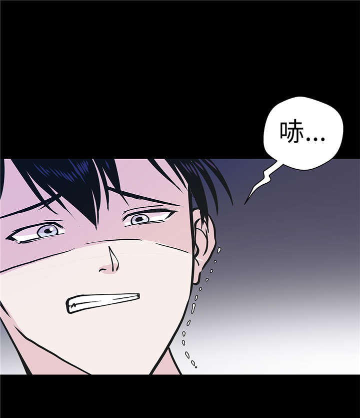 奇妙的动物世界电影漫画,第53章：死亡笔记本1图