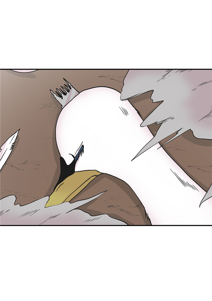 奇妙的动物高中漫画,第81章：会场袭击2图