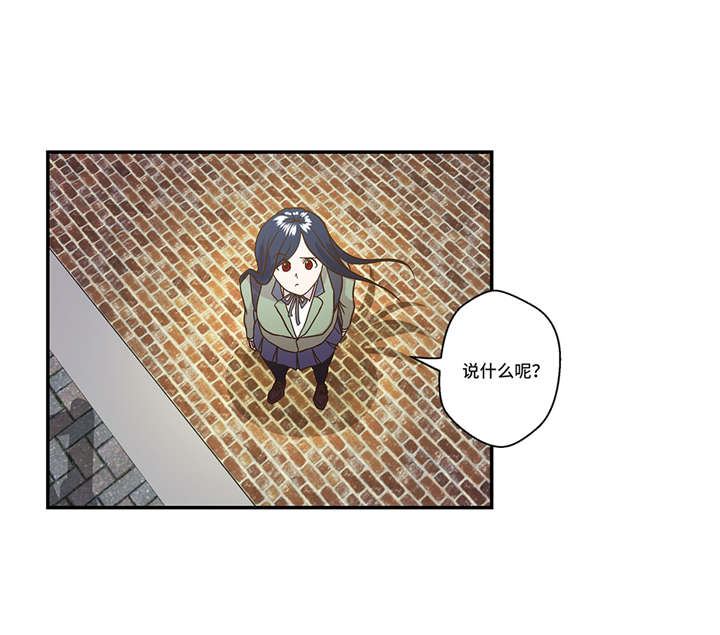 奇妙的动物家庭漫画,第3章： 偶遇（下）1图