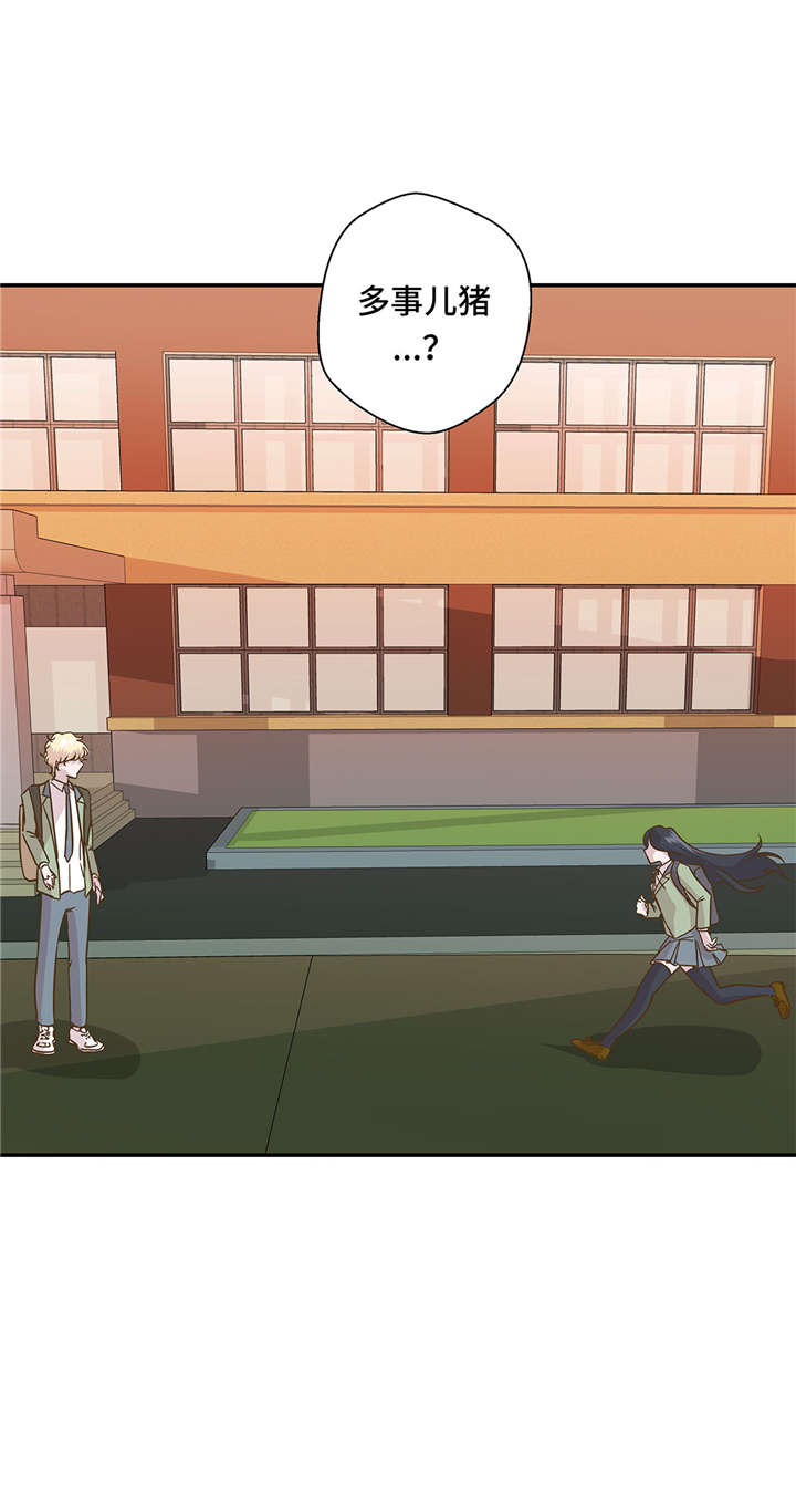 小学课外书奇妙的动物漫画,第13章：惹事猪1图