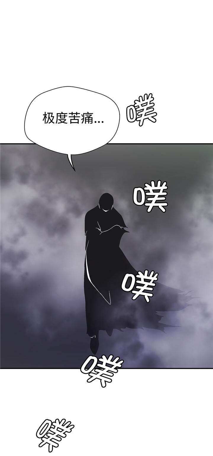奇妙的动物纪录片解说漫画,第93章：如意没事5图
