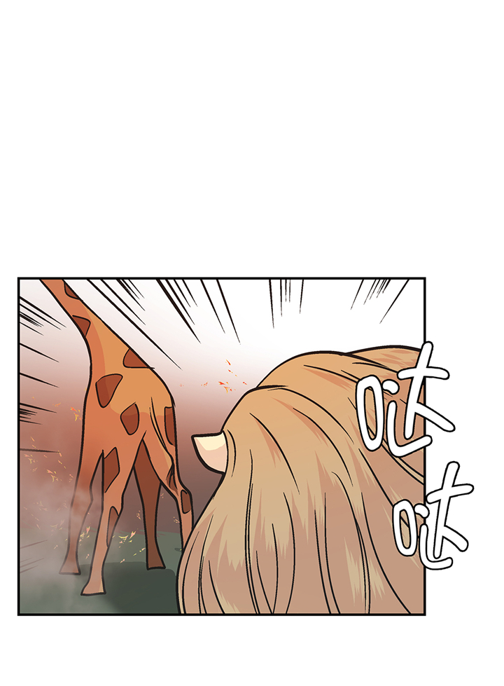 奇妙的动物松鼠漫画,第90章：你这只笨狗！4图