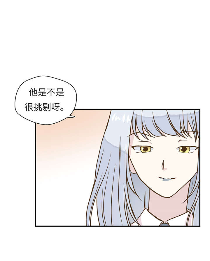 奇妙的动物高中漫画,第18章：开早会4图