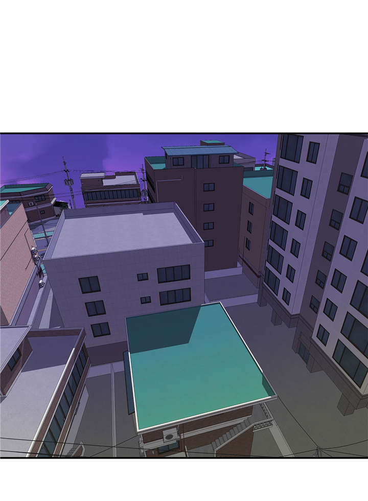 小学课外书奇妙的动物漫画,第50章：情报能力2图