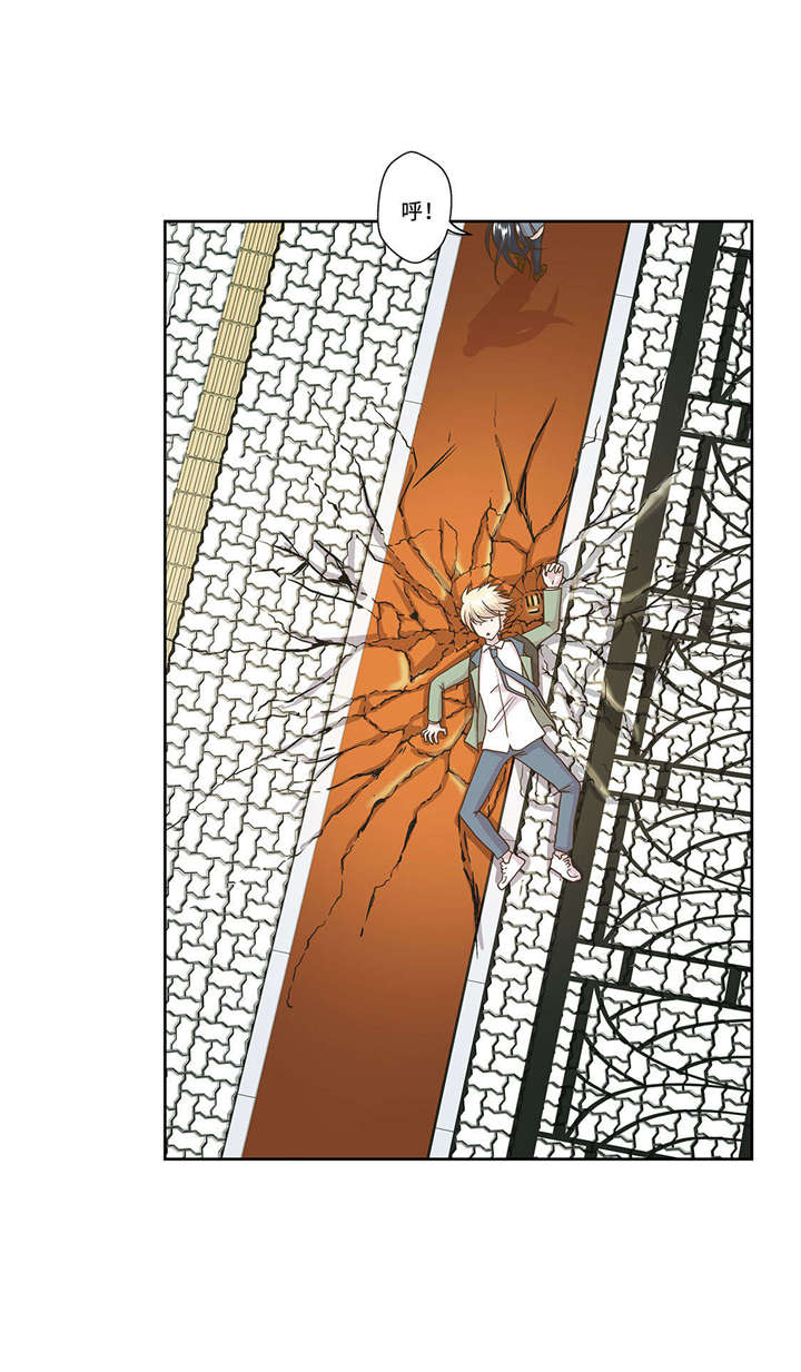 奇妙的动物世界作文600字漫画,第1章：动物高中5图