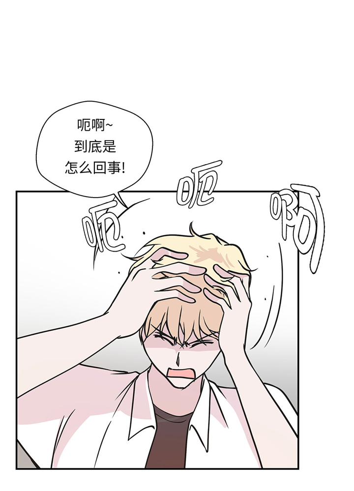 奇妙的动物车儿童画漫画,第62章：经费不足4图