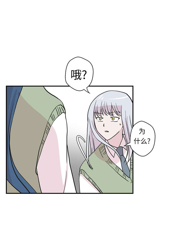 奇妙的动物高中漫画,第51章：科学部4图