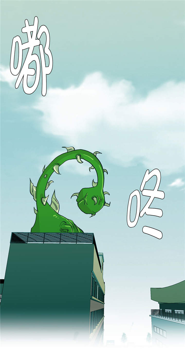 奇妙的动物世界作文600字漫画,第36章：是龙5图