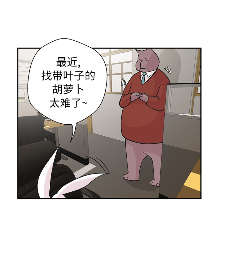 奇妙的动物高中漫画,第61章：大萝卜3图
