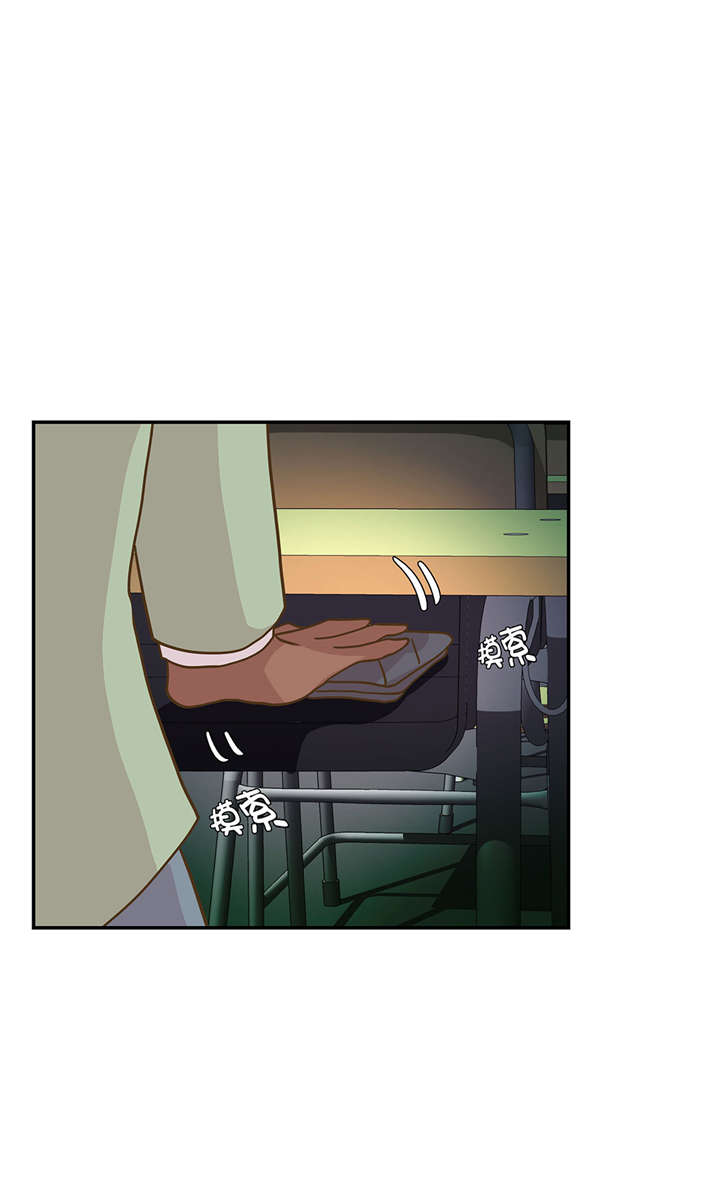 小学课外书奇妙的动物漫画,第13章：惹事猪1图