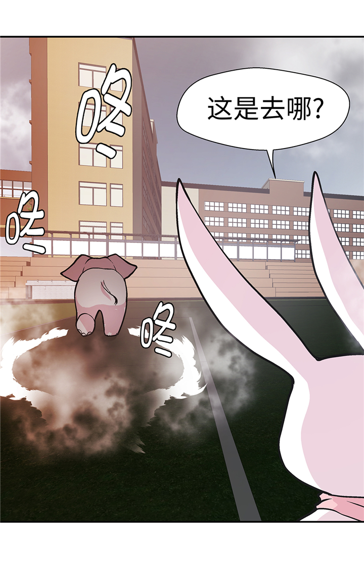 奇妙的动物高中漫画,第90章：你这只笨狗！5图