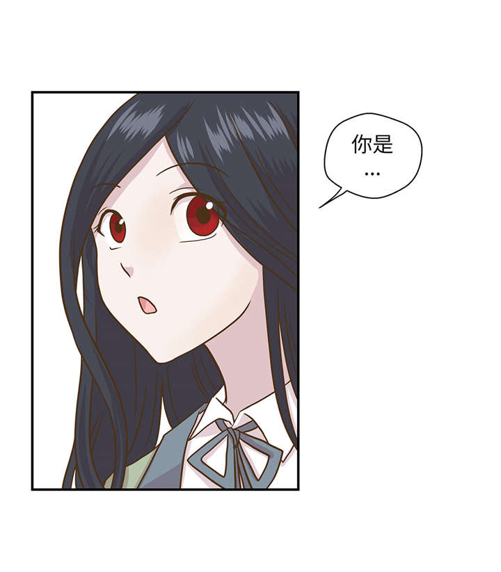 奇妙的动物车儿童画漫画,第12章：一起回家3图