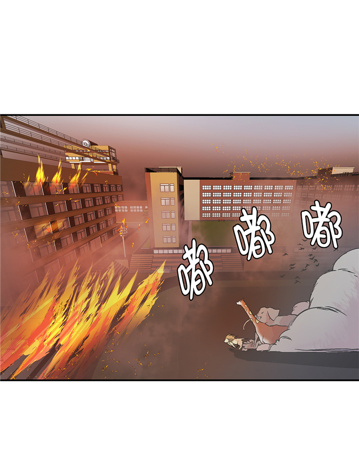 奇妙的动物高中漫画,第90章：你这只笨狗！2图