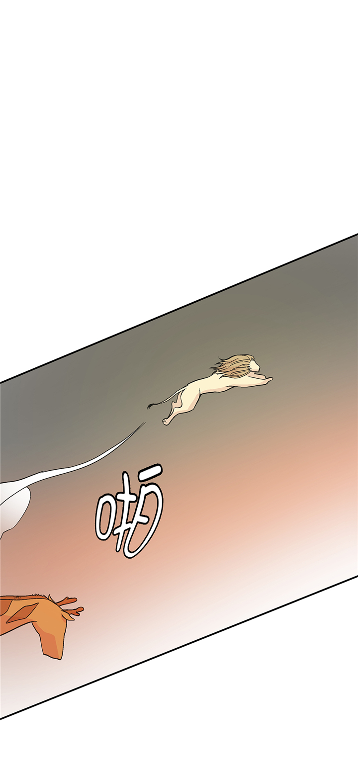 奇妙的动物松鼠漫画,第90章：你这只笨狗！2图