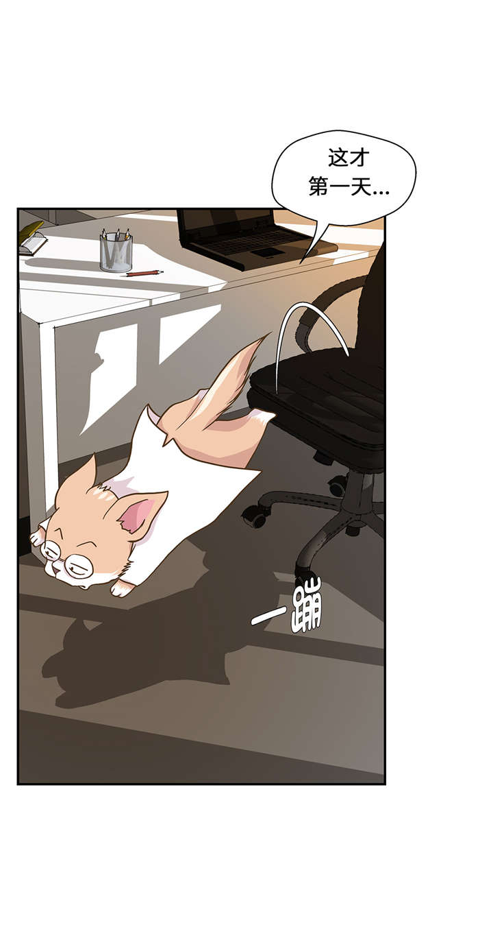 奇妙的动物高中漫画,第16章：狮子莱昂2图