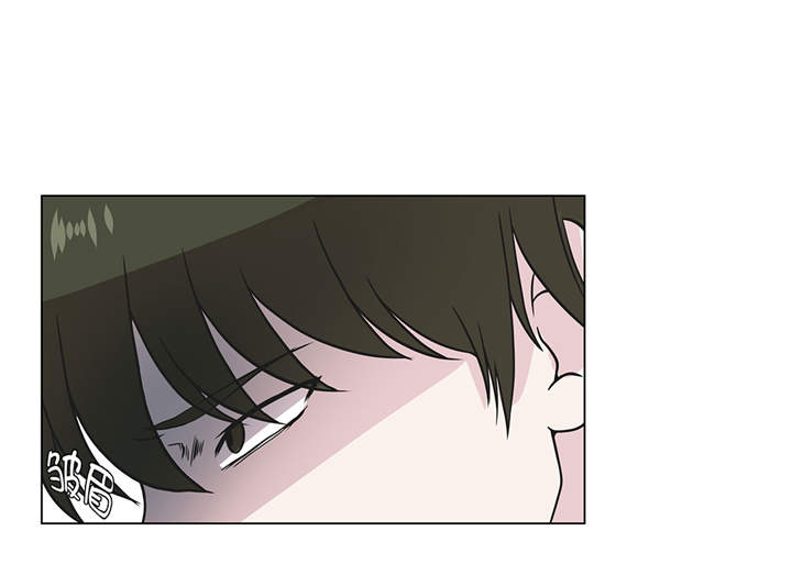 奇妙的动物世界作文600字漫画,第29章：偷拍狂1图